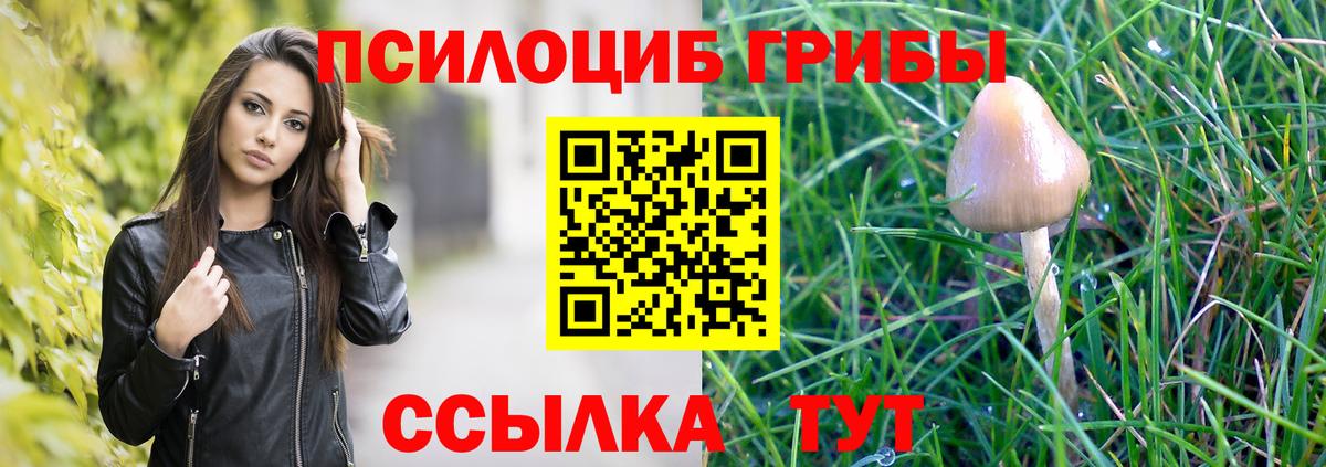 Псилоцибиновые грибы ЛСД Тихвин